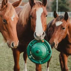 KVP International, Inc. 12" Equine Kong Boredom Buster Classic Kit Stall Toy Grooming 7 KVP International, Inc. 12