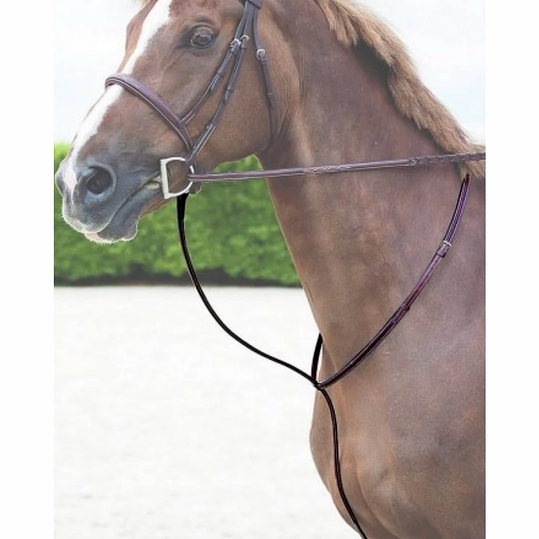 Sagmae Dyon Raised Standing Martingale Martingales, Breastplates, Attachments 3 Sagmae Dyon Raised Standing Martingale Martingales, Breastplates, Attachments