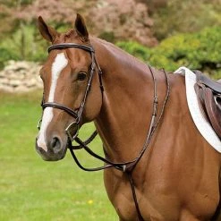 English Riding Supply Martingales, Breastplates, Attachments Rodrigo Pessoa Raised Fancy Standing Martingale