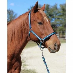 JPC Equestrian Tuffrider Nylon Breakaway Halter And Lead 18 JPC Equestrian Tuffrider Nylon Breakaway Halter And Lead