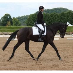 Ogilvy Equestrian Ogilvy Dressage Memory Foam Half Pad Saddle Pads & Fittings