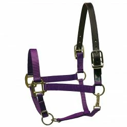 Perri's Leather Perri's Premium Nylon Safety Halter Halters & Leads