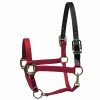Perri's Leather Perri's Premium Nylon Safety Halter Halters & Leads 1 Perri's Leather Perri's Premium Nylon Safety Halter Halters & Leads