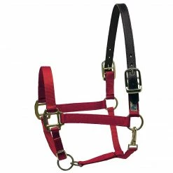 Perri's Leather Perri's Premium Nylon Safety Halter Halters & Leads