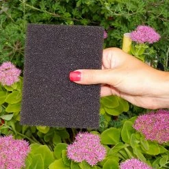 Grooming Nunn Finer Scrub Rub