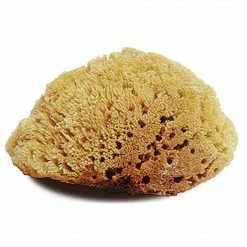 Jacks Mfg Natural Body Sponge Large Grooming