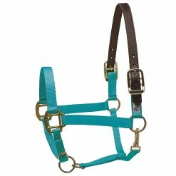 Perri's Leather Perri's Premium Nylon Safety Halter Halters & Leads